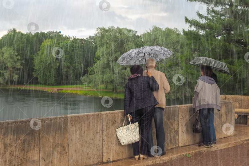 Скачать Туристы под дождем. Люди с зонтиками стоят и смотрят с моста. фотосток Ozero