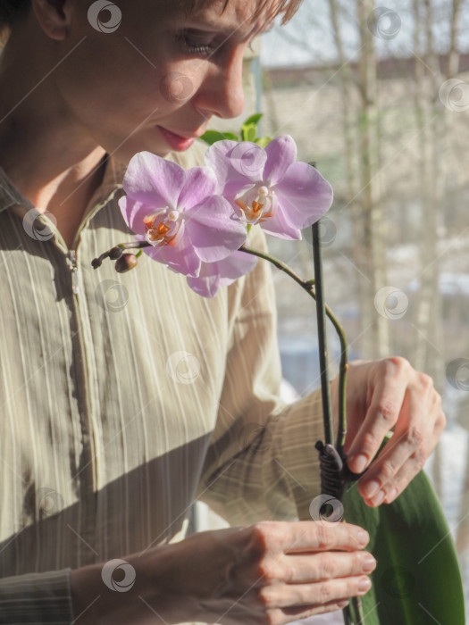 Скачать Выращивание орхидей. Улыбающаяся счастливая молодая флористка в своей детской держит в руках розовую орхидею фаленопсис в горшке. фотосток Ozero
