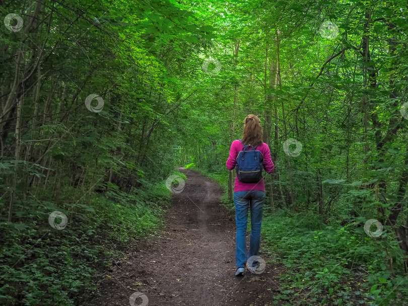 Скачать Дама с рюкзаком путешествует по зеленому лесу. фотосток Ozero