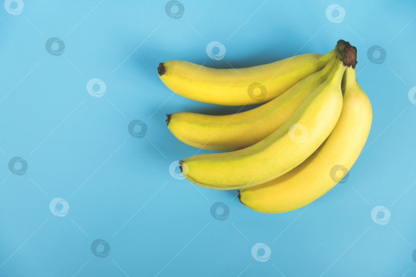 Скачать Гроздь бананов на синем фоне фотосток Ozero