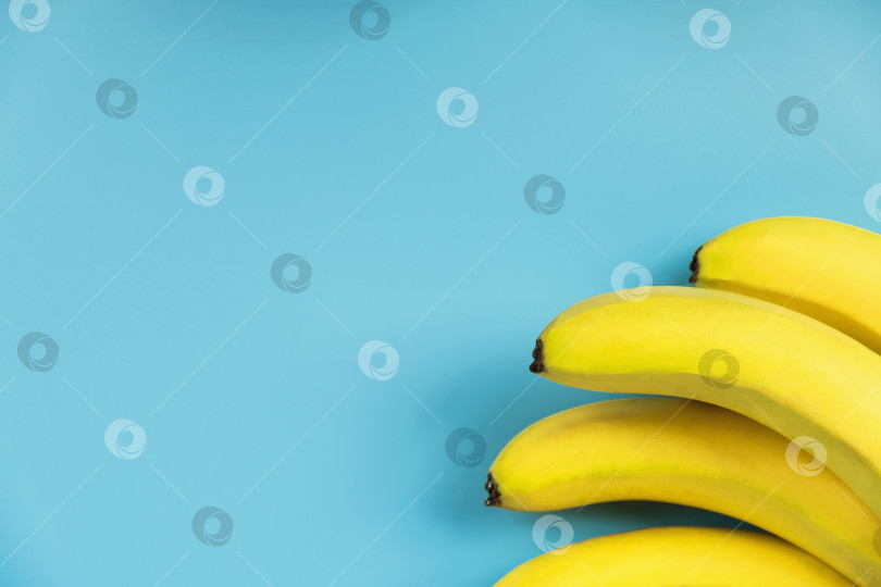 Скачать Гроздь бананов на синем фоне фотосток Ozero