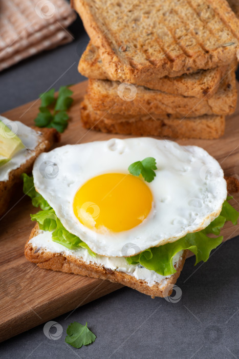 Скачать Бутерброды с творожным сыром, жареным яйцом и зеленью фотосток Ozero