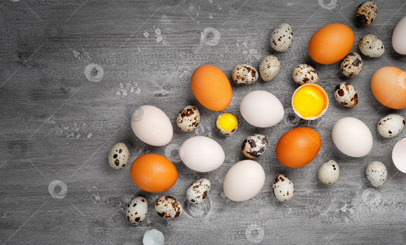 Скачать Вид сверху на куриные и перепелиные яйца на столе фотосток Ozero
