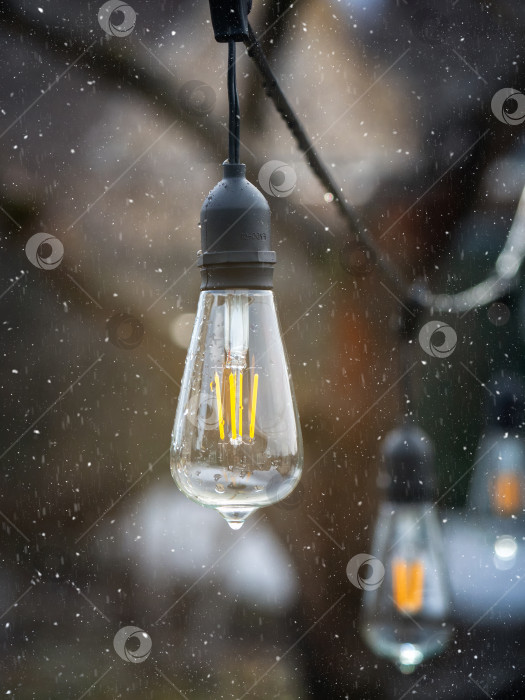 Скачать Старинные лампы накаливания типа Эдисона на открытом воздухе во время снегопада. фотосток Ozero