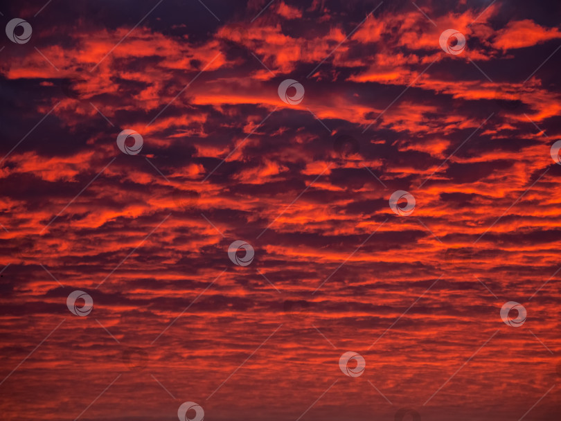 Скачать Красное вечернее небо. Красочное облачное небо на закате. Текстура неба, абстрактный фон природы фотосток Ozero