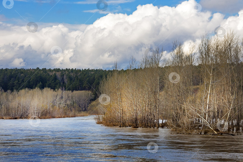 Скачать Весенний паводок на реке Берд фотосток Ozero
