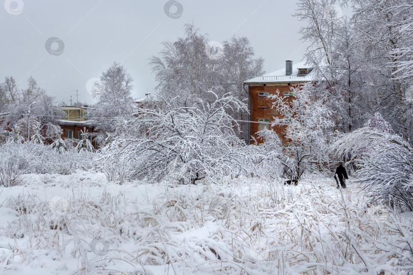 Скачать Сибирский город после снегопада фотосток Ozero