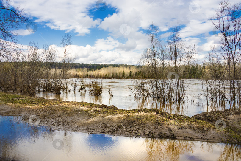 Скачать Весенний паводок на реке Берд фотосток Ozero