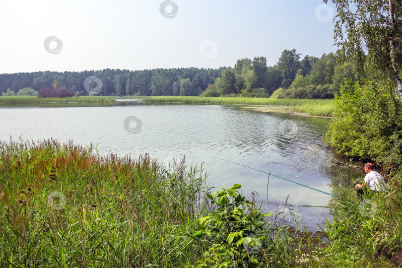 Скачать Летний пейзаж на сибирской реке Берд фотосток Ozero