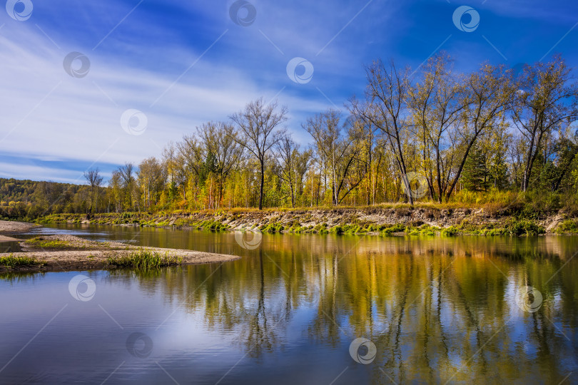 Скачать Сибирская река Берд осенью фотосток Ozero