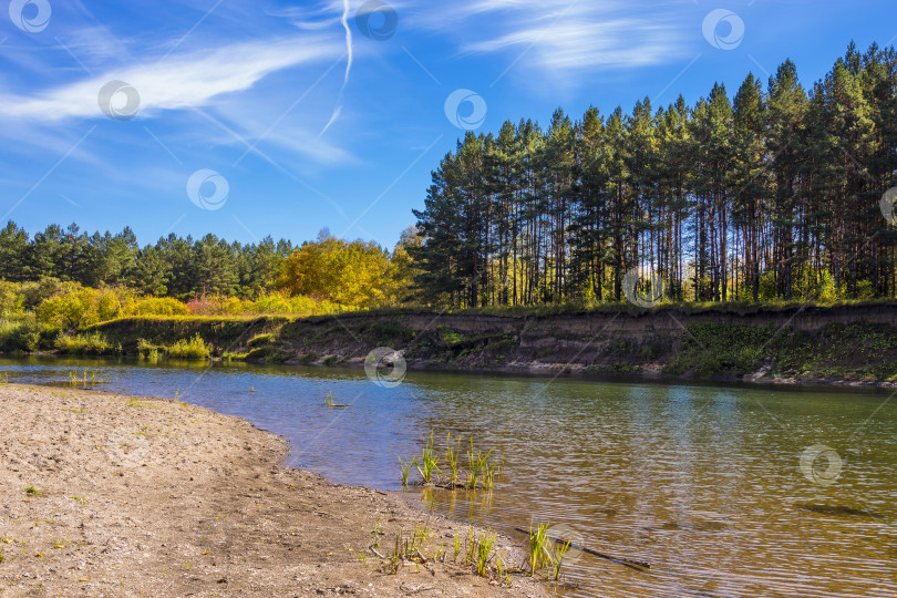 Скачать Сибирская река Берд осенью фотосток Ozero