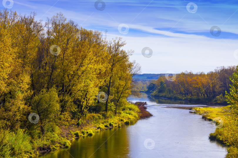 Скачать Сибирская река Берд осенью фотосток Ozero