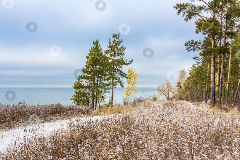 Скачать Осенний пейзаж с первым снегом на сибирской реке Обь фотосток Ozero