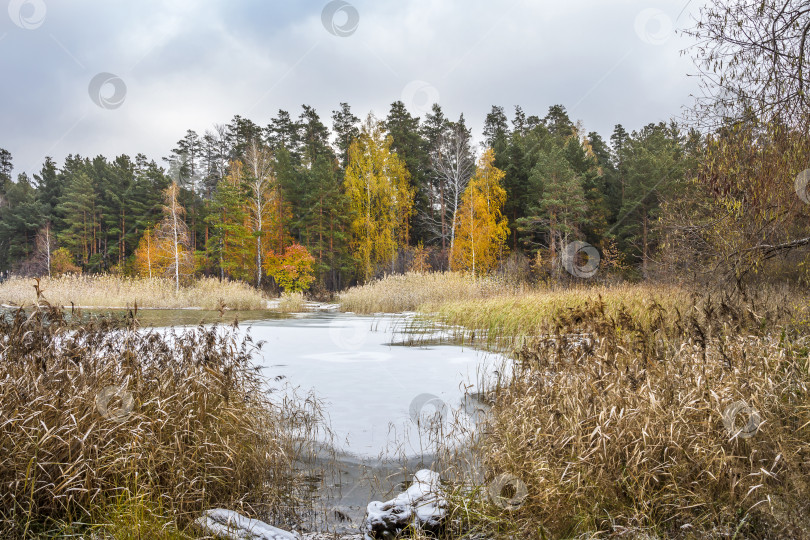 Скачать Первые зимние морозы в Сибири. Река Обь фотосток Ozero