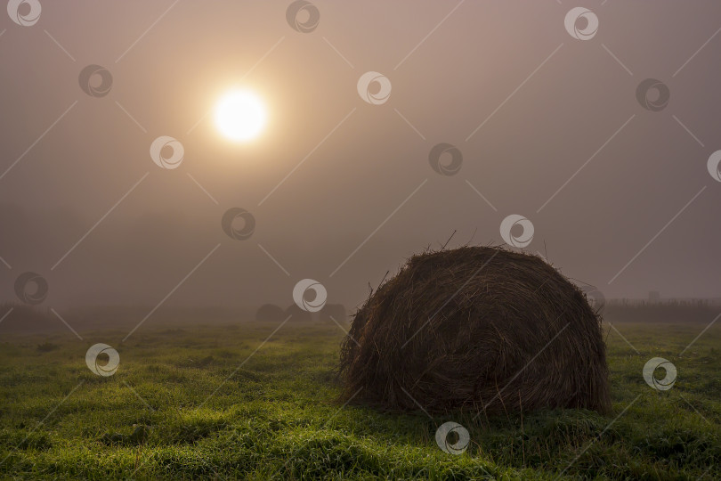 Скачать Раннее осеннее утро фотосток Ozero