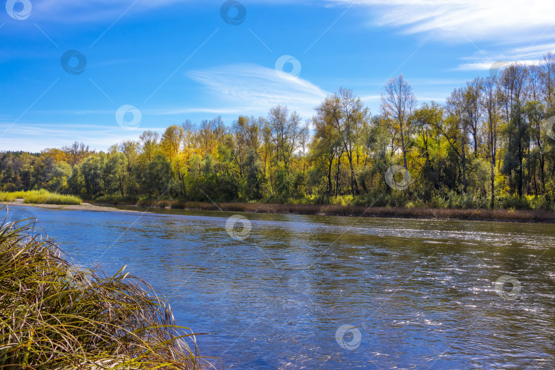 Скачать Сибирская река Берд осенью фотосток Ozero