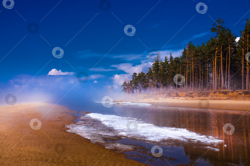 Скачать Весенний пейзаж на реке Обь. Сибирь, Россия фотосток Ozero