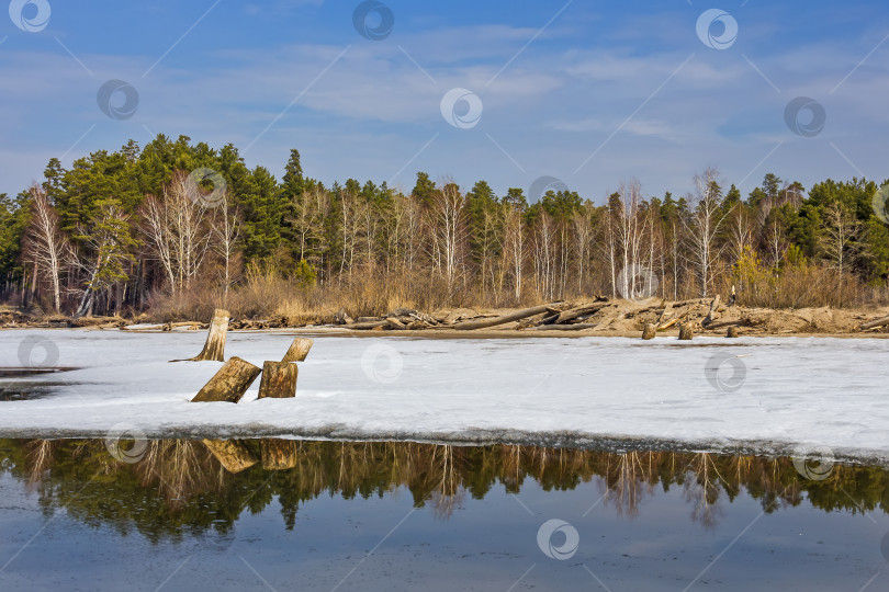 Скачать Весенний пейзаж на Сибирской реке фотосток Ozero