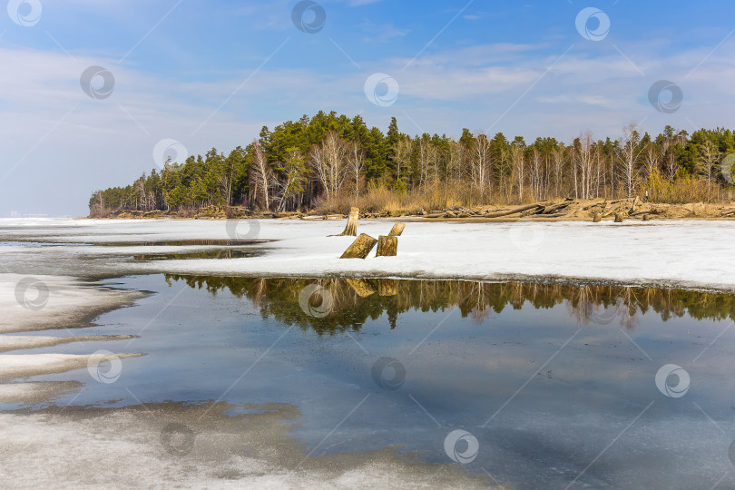 Скачать Весенний пейзаж на Сибирской реке фотосток Ozero