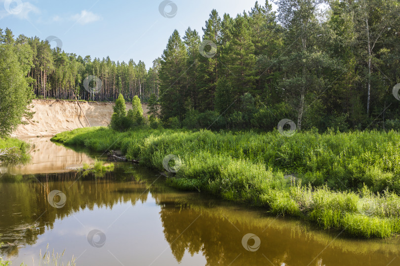 Скачать Каракан - река в Сибири, Новосибирская область, Россия фотосток Ozero