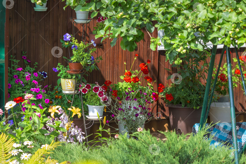 Скачать Дизайн сада на открытом воздухе с цветами в горшках фотосток Ozero