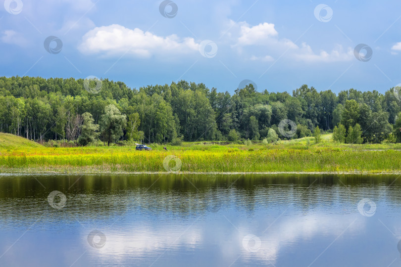 Скачать Летний пейзаж с березами на берегу реки фотосток Ozero