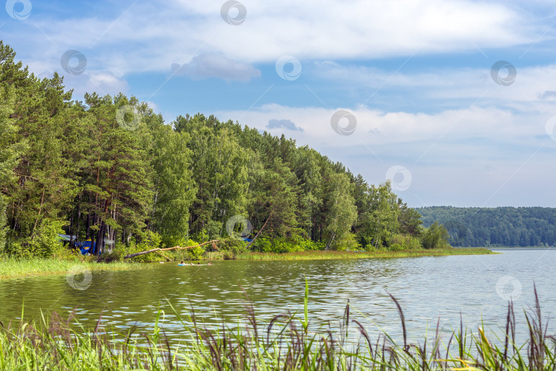 Скачать Летний пейзаж на берегу реки фотосток Ozero