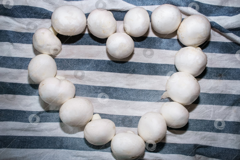 Скачать Вид сверху белые грибы шампиньоны на полотенце, лежащем в форме сердца, в помещении кухни. фотосток Ozero