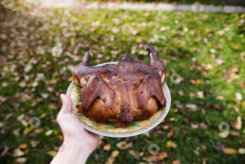 Скачать Мужчина держит в руках блюдо с жареной курицей. Курица, приготовленная целиком на гриле, на фоне сада, крупным планом. Пикник на открытом воздухе фотосток Ozero