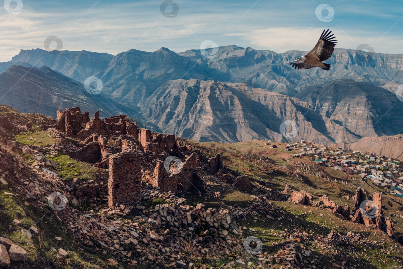 Скачать Панорамный вид на руины и башни аула-призрака Гур в Дагестане в вечернем свете. фотосток Ozero