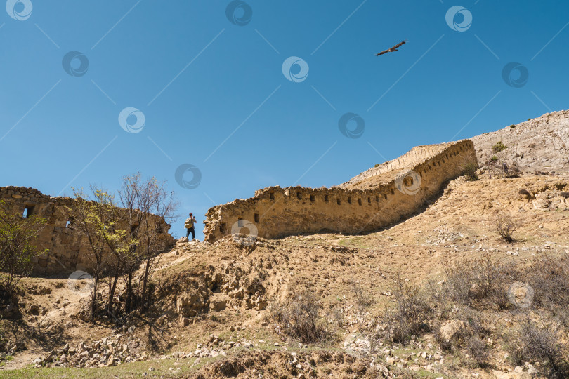 Скачать Летящие орлы над древней крепостной стеной. Крепость Гуниб - исторический памятник Дагестана. фотосток Ozero