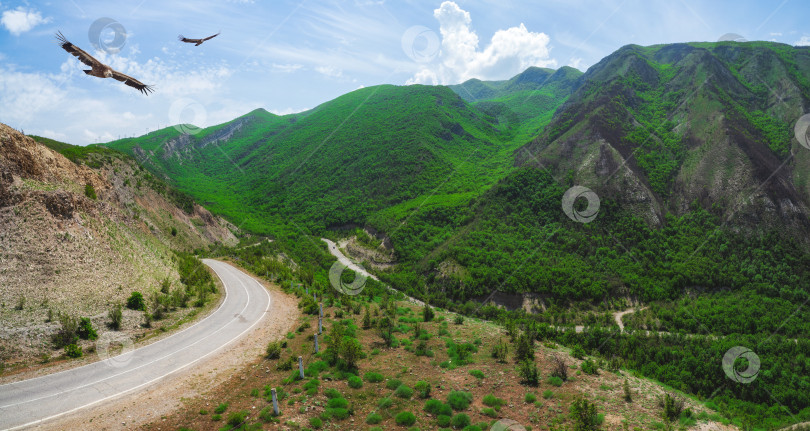 Скачать Горная асфальтированная дорога змеится среди зеленых гор. Панорамный вид. фотосток Ozero