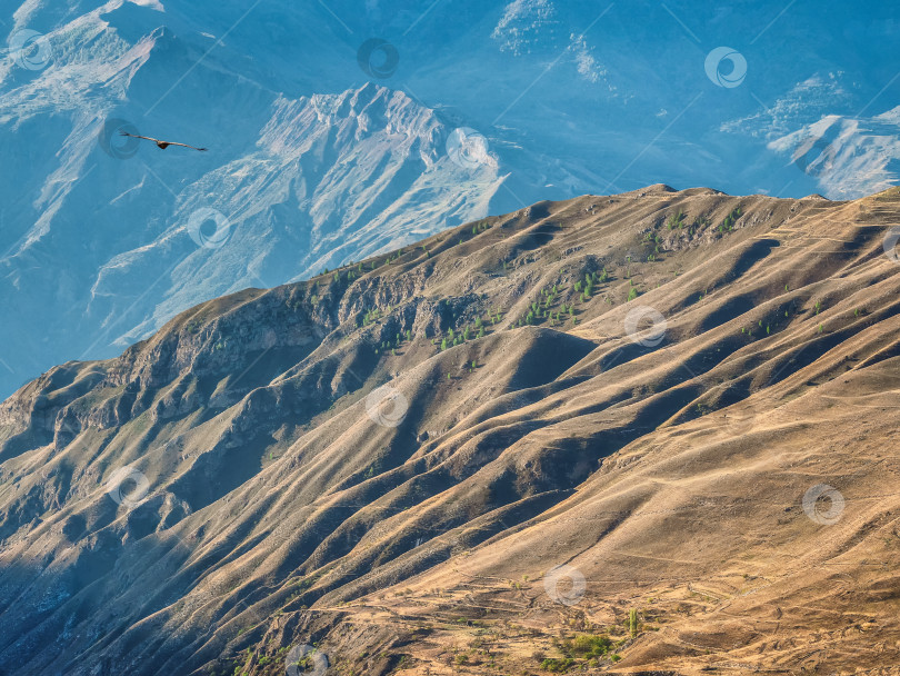 Скачать Горная текстура, горный рельеф. Дагестанские холмы сверху. фотосток Ozero