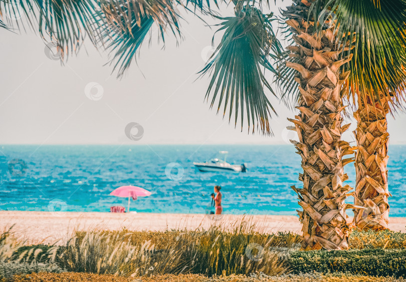 Скачать Пляж с пальмой, пирсом и лодкой на берегу Персидского залива. фотосток Ozero