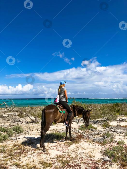 Скачать Турист-всадник на лошади фотосток Ozero