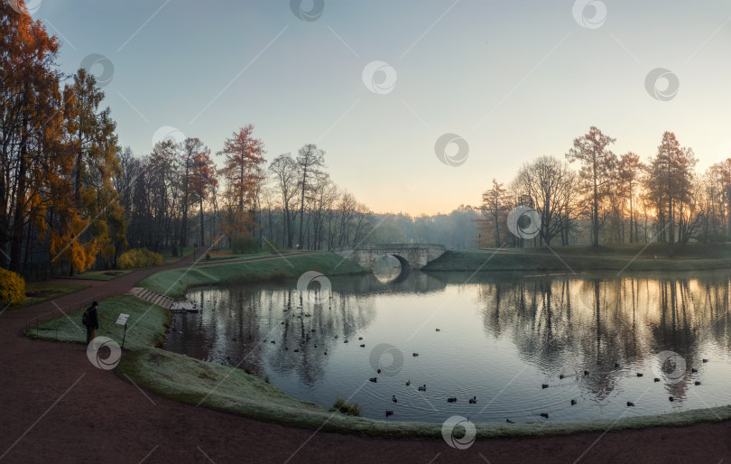 Скачать Туманное осеннее утро в Дворцовом парке Гатчины. Россия. фотосток Ozero