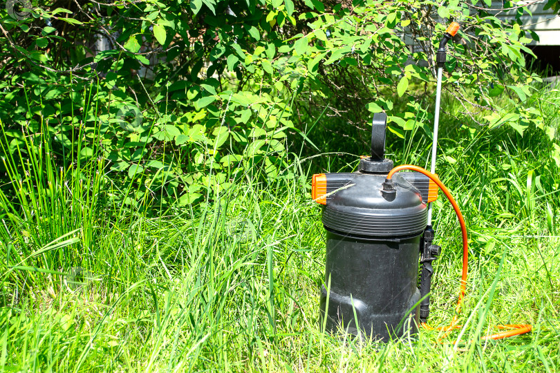 Скачать На зеленой траве перед кустом стоит черный садовый опрыскиватель с оранжевым шлангом. фотосток Ozero