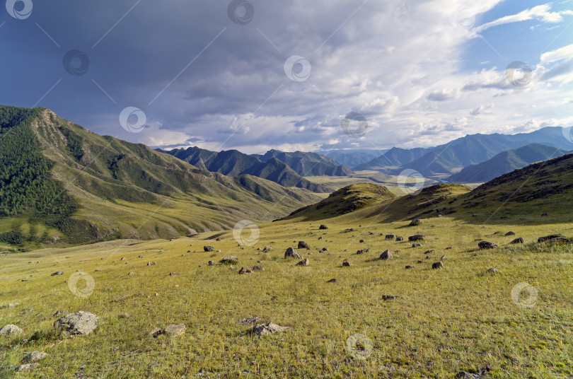 Скачать Камни на склоне холма.  Алтай, Россия. фотосток Ozero