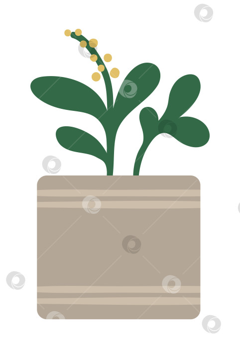 Скачать Векторная иллюстрация растения в горшке с зелеными листьями и желтыми круглыми цветами. Плоское модное комнатное растение, нарисованное от руки, для дизайна домашнего садоводства. Прекрасная весенняя и летняя трава фотосток Ozero