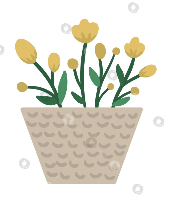 Скачать Векторная иллюстрация растения в горшке с зелеными листьями и желтыми цветами. Плоское модное комнатное растение, нарисованное от руки, для дизайна домашнего садоводства. Прекрасная весенняя и летняя трава фотосток Ozero