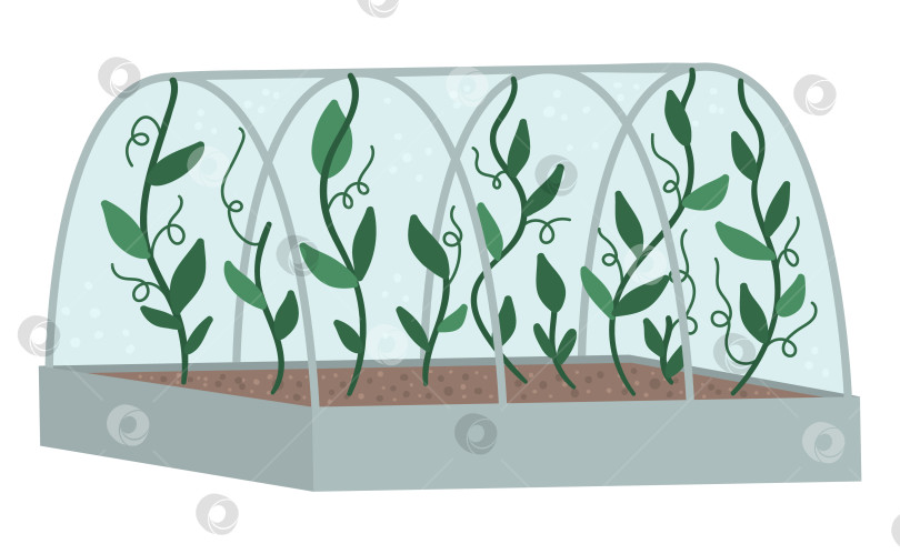 Скачать Векторная теплица с зелеными вьющимися растениями. Иллюстрация плоского горячего дома, изолированного на белом фоне. Фотография зеленой комнаты с видом сбоку. Иллюстрация весеннего сада. фотосток Ozero