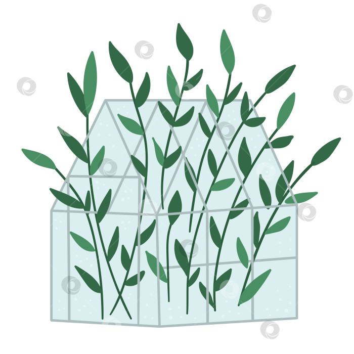 Скачать Векторная теплица с зелеными растениями. Иллюстрация плоского горячего дома, изолированного на белом фоне. Фотография зеленой комнаты с видом сбоку. Иллюстрация весеннего сада. фотосток Ozero