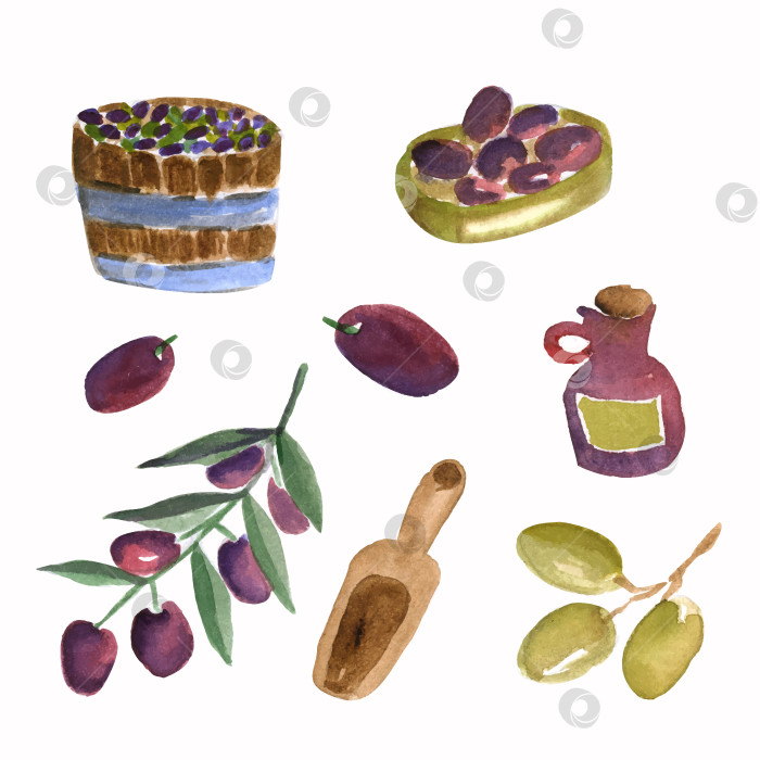 Скачать Акварельный симпатичный набор из оливок и оливкового масла фотосток Ozero