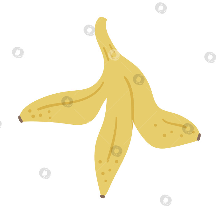Скачать Векторный клип с кожурой тропического банана. Иллюстрация листвы джунглей. Нарисованная от руки плоская кожура экзотического растения, выделенная на белом фоне. Яркая детская иллюстрация летней еды. фотосток Ozero