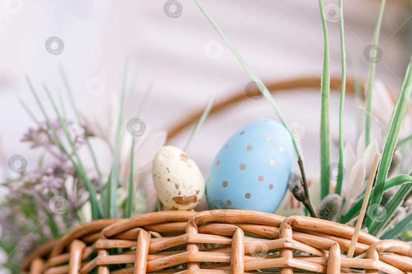 Скачать счастливого времени пасхальных праздников в весенний сезон. корзина с крашеными яйцами, пасхальными куличами, цветами и растениями, а также сладкими кроликами. праздничный домашний декор. традиционная еда фотосток Ozero