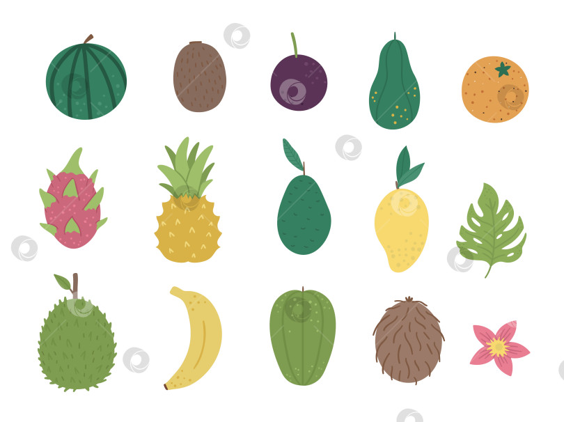 Скачать Векторный клип с тропическими фруктами и ягодами. Иллюстрация листвы джунглей. Нарисованные от руки плоские экзотические растения, изолированные на белом фоне. Яркая иллюстрация детской здоровой летней еды. фотосток Ozero