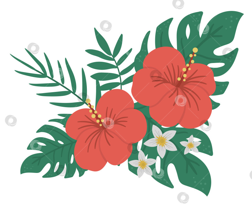Скачать Векторная тропическая композиция с красным гибискусом, монстерой, пальмовыми листьями и белыми цветами, изолированными на белом фоне. Яркий экзотический элемент дизайна в плоском стиле. Летний цветочный клип-арт фотосток Ozero