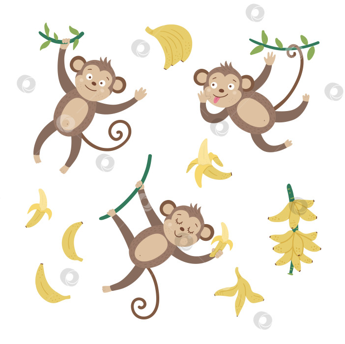 Скачать Векторный набор с милыми обезьянками с бананами, изолированными на белом фоне. Забавные иллюстрации тропических животных и фруктов. Яркая плоская картинка для детей. Летний клип в джунглях фотосток Ozero