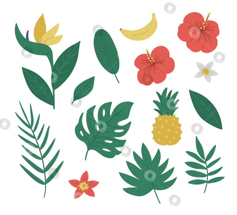 Скачать Векторная графика с тропическими фруктами, цветами и листьями. Иллюстрация листвы джунглей и цветов. Нарисованные от руки плоские экзотические растения, изолированные на белом фоне. Яркая детская иллюстрация летней зелени. фотосток Ozero