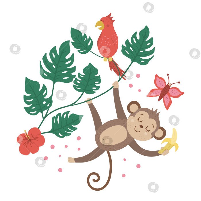 Скачать Векторная симпатичная обезьянка, висящая на лиане с бананом, попугай, изолированный на белом фоне. Забавные иллюстрации тропических животных, растений и фруктов. Яркая плоская картинка для детей. Летняя композиция в джунглях фотосток Ozero